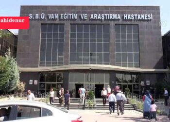 Van'da doktor açığı büyüyor... Tabip Odası Başkanı Koç: İlçe hastanesi eksiği giderilmeli