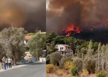 Yangın kontrol altına alındı, 340 hektar alan yandı