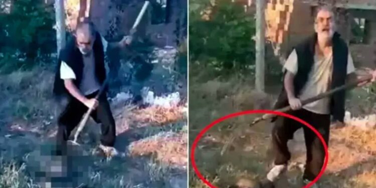 Yavru köpeği tarım aleti saplayarak öldüren sanık hakim karşısına çıktı, sanık avukatları "Müvekkilimizin akıl sağlığı yerinde değil" dedi