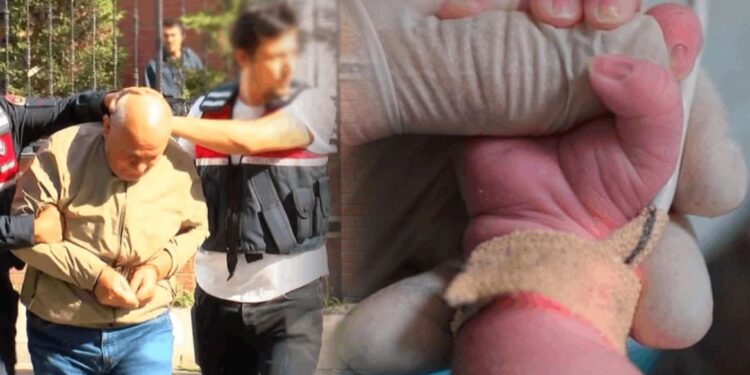 “Yenidoğan çetesi” soruşturması: İBB Meclis Üyesi de şüpheli