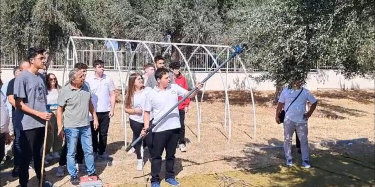 ’Zeytinler Gençlerle Yeşeriyor’ projesi ile Ekonomiye Destek