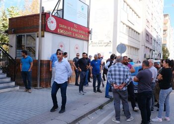 Çiftçiler üretimi durdurdu: Mısır ithalat vergisi yüzde 130’dan yüzde 5 düşürüldü