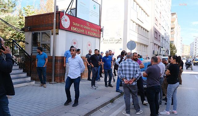 Çiftçiler üretimi durdurdu: Mısır ithalat vergisi yüzde 130’dan yüzde 5 düşürüldü