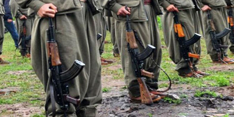 ‘Türkiye, PKK’nin silah bırakmasını istemiyor, Öcalan’ın kontrolüne almak istiyor’