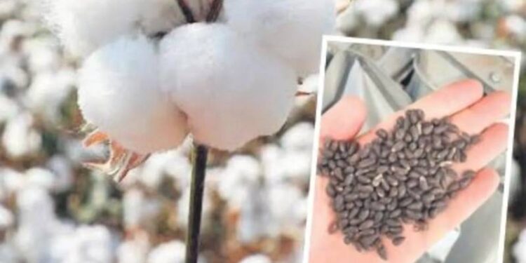 12 yıla kadar hapsi isteniyor