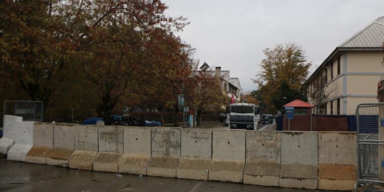 Kadriye Doğan: Kayyım eşbaşkanlık sistemine saldırıdır