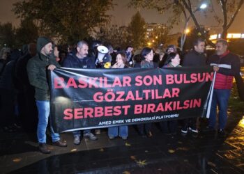 Amed Emek ve Demokrasi Platformu’ndan gözaltılara tepki