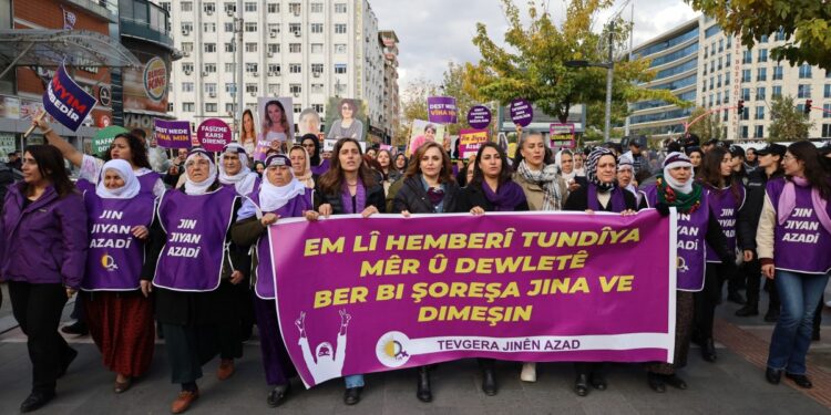 Êlih’teki 25 Kasım yürüyüşünde kayyıma öfke