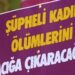 İntihar denilmişti: ‘Kasten öldürmeden’ dava açıldı