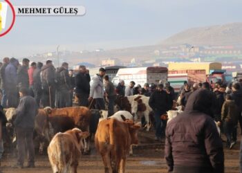 Besiciler et ithalatı yerine destek istiyor