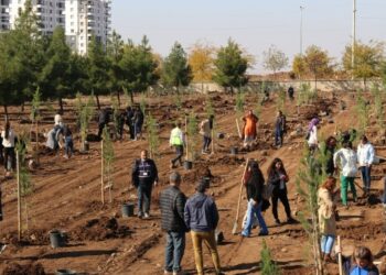 Katledilen kadınlar için fidan dikildi