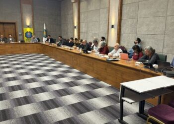 Tabip odaları: Kayyımlar Kürt sorunu çözümsüzlüğünün sonucu