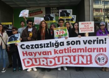Hayvan hakları savunucularından AYM’ye: Yasayı geri çek