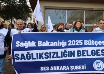 SES bütçe taleplerini açıkladı
