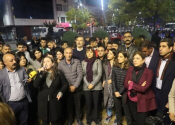 Siyasi parti temsilcileri Êlih’ten seslendi: Kayyım hırsızlıktır