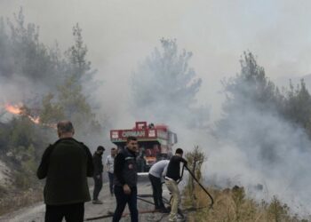 Bursa’da çıkan yangın Balıkesir’e sıçradı