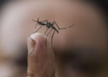 Bangladeş’te dang humması: 234 kişi hayatını kaybetti