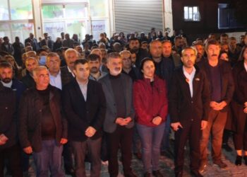 Ferit Şenyaşar: Barış eli uzatanlar kayyım atadı