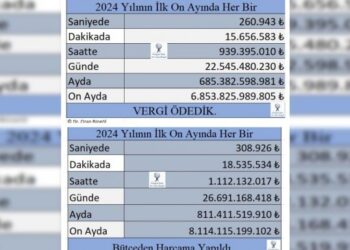 Vergi uzmanı Bingöl: Dakikada 15,6 milyon vergi toplandı ama o da yetmedi