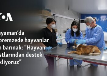 Adıyaman’da depremzede hayvanlar için barınak: “Hayvan dostlarından destek bekliyoruz”