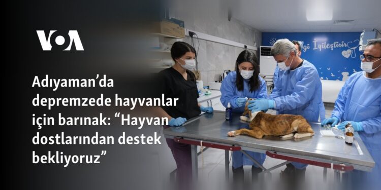Adıyaman’da depremzede hayvanlar için barınak: “Hayvan dostlarından destek bekliyoruz”