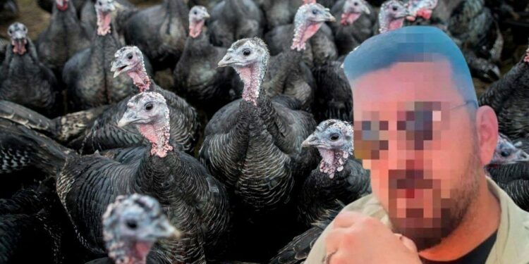 Ankara’da 50 milyonluk vurgun: Çiftlik Bank’tan sonra Hindi Çiftliği…