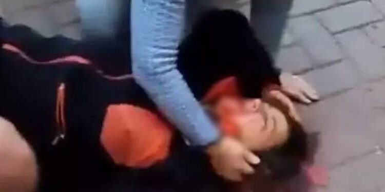 Ankara'da yürüyüşe çıkan profesör, köpeklerin saldırısında yaralandı