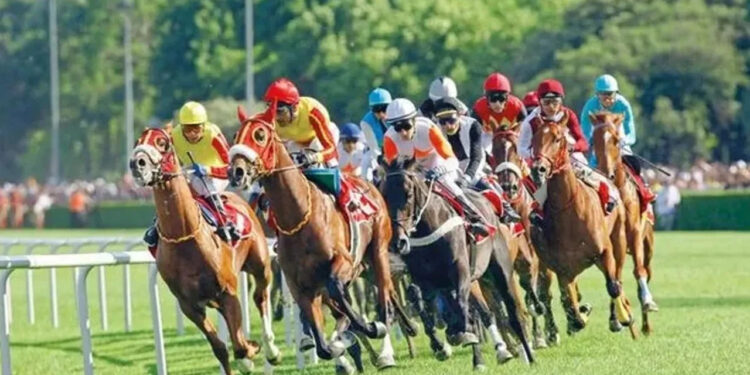 At Yarışlarına VAR Geliyor