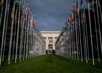 BM İşkenceye Karşı Komite’den Türkiyeli sığınmacıyı sınır dışı etmek isteyen İsveç’e ihlal kararı