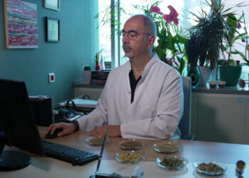 Bağırsak dostu bitki çayları nasıl demlenmeli? Prof. Bülent Yaşar anlattı