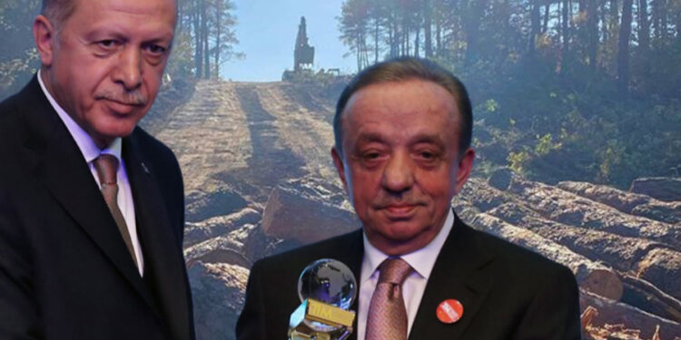 Bakanlık onay verdi: ‘Cengiz Holding 685 futbol sahası büyüklüğünde bir alanda ağaç katliamı yaptı’