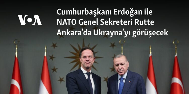 NATO Genel Sekreteri Rutte bugün Ankara’da: Rusya-Ukrayna savaşı masada
