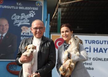 CHP'li Turgutlu Belediyesi'nden online hayvan sahiplendirme sistemi hizmeti