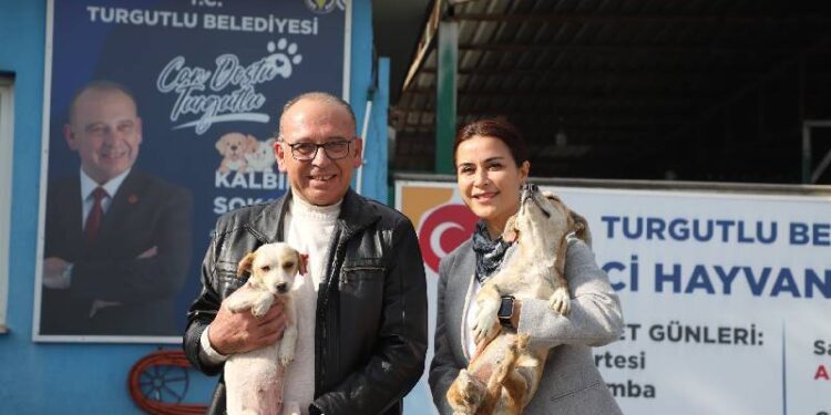 CHP'li Turgutlu Belediyesi'nden online hayvan sahiplendirme sistemi hizmeti