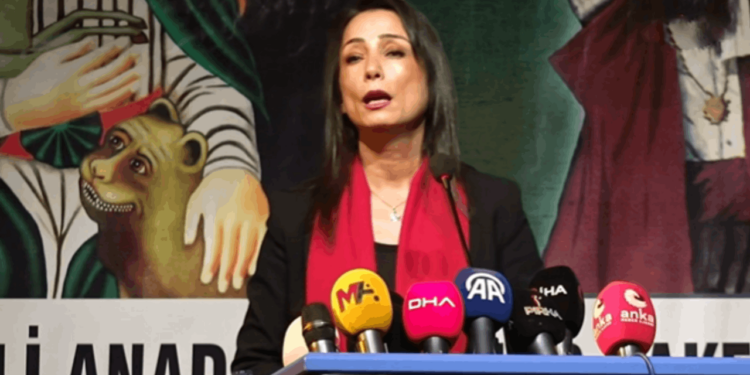 DEM Parti Eş Genel Başkanı Hatimoğulları, Cumhurbaşkanı Erdoğan'a Çağrısını Yineledi