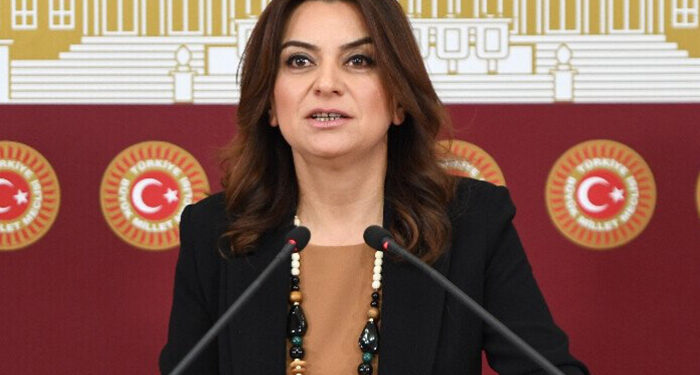 DEM Parti Grup Başkanvekili Koçyiğit: “Kayyım uygulaması adı konulmamış bir OHAL rejimidir”