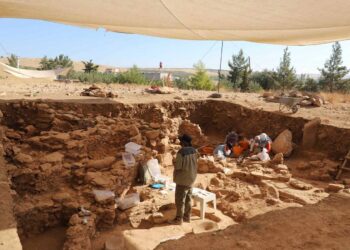 Dünya Neolitik Kongresi Şanlıurfa'da başladı