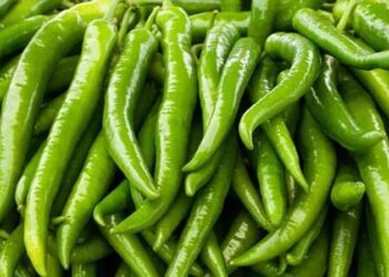 Ekim ayında en çok biber cep yaktı