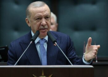 Erdoğan: Bahçeli’nin açıklamaları ortak siyasi vizyonumuz