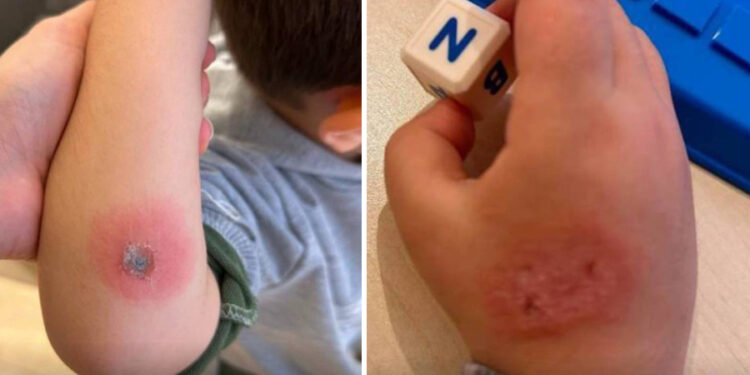 Gaziantep’te ‘koruma altındaki iki çocuğa kötü muamele’ yapan personel gözaltına alındı