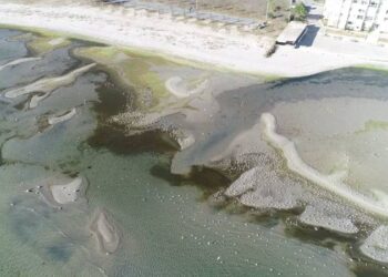 İstanbul’da deniz suyu metrelerce çekildi, adacıklar oluştu, balıkçılar açılamadı!