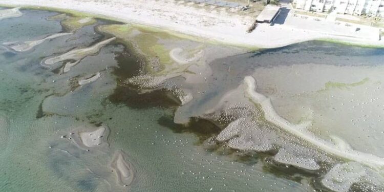 İstanbul’da deniz suyu metrelerce çekildi, adacıklar oluştu, balıkçılar açılamadı!