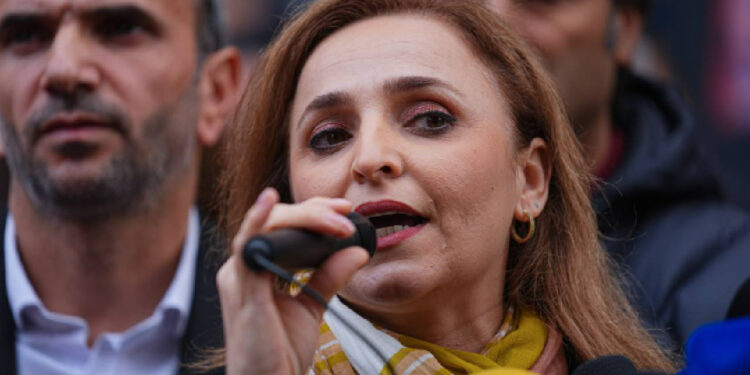 İstanbul'da ‘Kayyım Değil Demokrasi’ Buluşması... DEM Parti Sözcüsü'nden Açıklama