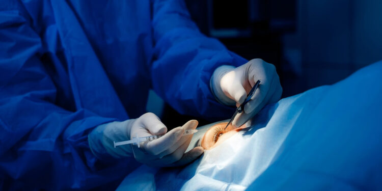 Japonlar Körlüğü Tedavi Etmeyi Başardı