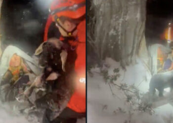 Karda Kaybolmuşlardı... Yaşlı Çift Kuzuları ile Tavuklarına Sarılmış Halde Bulundu