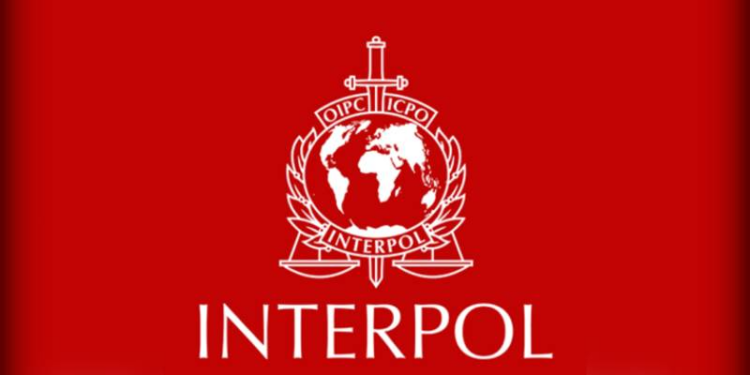 Kırmızı bülten ve difüzyon mesajıyla aranan toplam 552 şahıs yakalandı