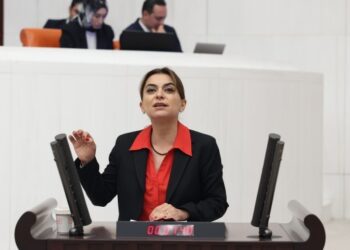 Koçyiğit: Aklı barış olanın yolu kayyım olmaz!