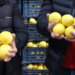 Limon Halde 3, Markette 30 Lira: Makas 10 Katı Aştı