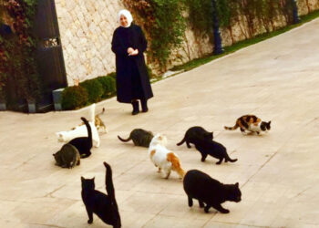 Lütfü Türkkan’dan ‘Melek İpek’ tepkisi: “Vicdanımızı kaybedersek, nerede kaldı insanlığımız…”