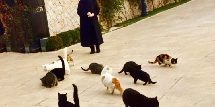 Lütfü Türkkan’dan ‘Melek İpek’ tepkisi: “Vicdanımızı kaybedersek, nerede kaldı insanlığımız…”